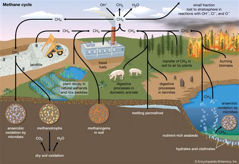 methane analysis methods|how to determine methane emission.